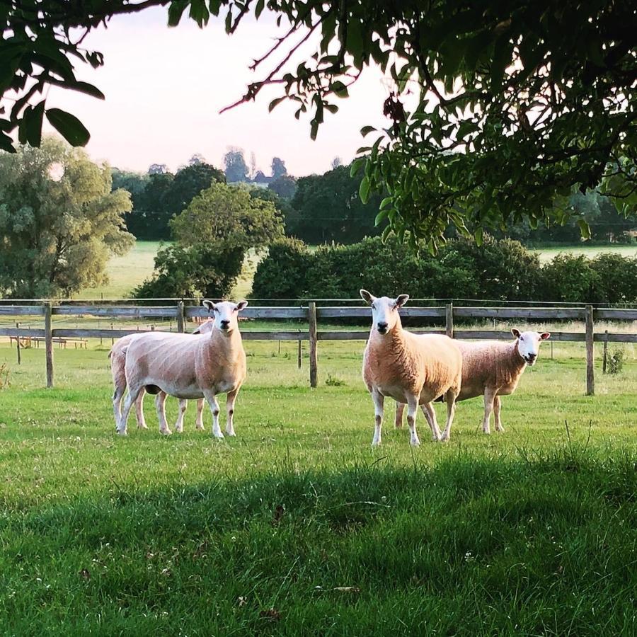 The Chaff House - Farm Stay Apartment Set Within 135 Acres ブロムヤード エクステリア 写真